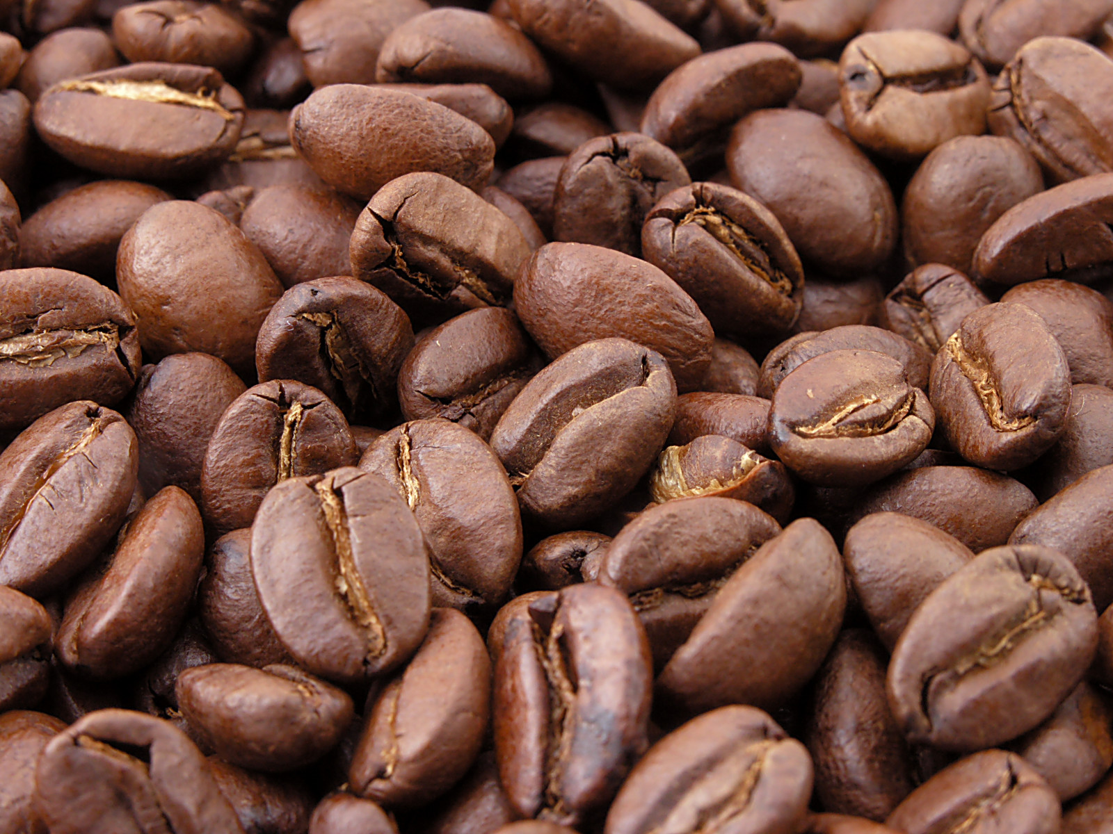 Freshly roasted coffee beans